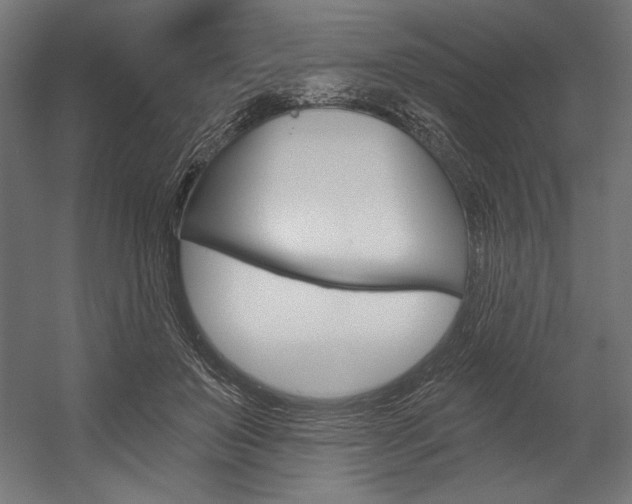 X0000054380503200507290900