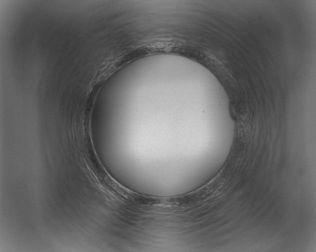 X0000054380504200507290900