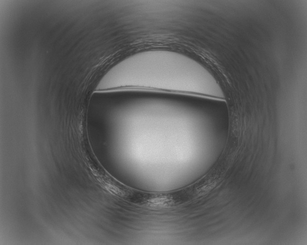 X0000054380505200507290900