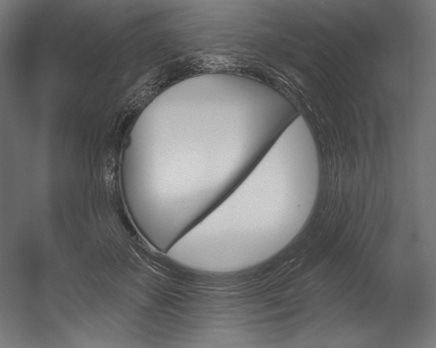 X0000054380507200507290900