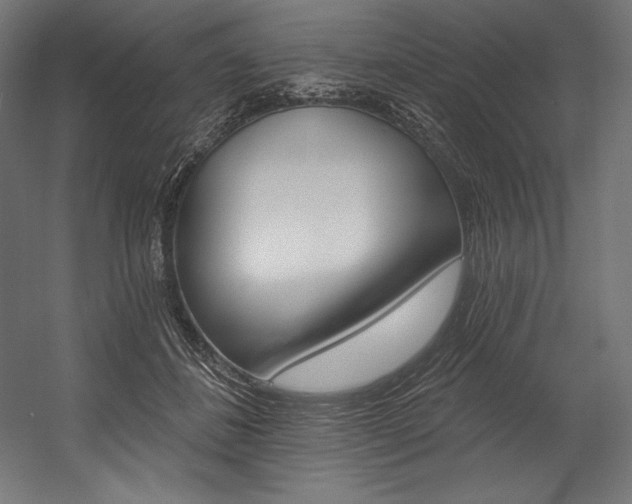 X0000054380508200507290900