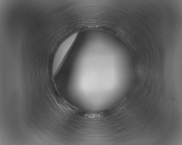X0000054380512200507290900