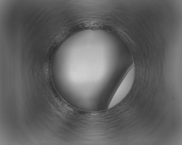 X0000054380513200507290900