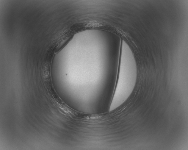 X0000054380517200507290900