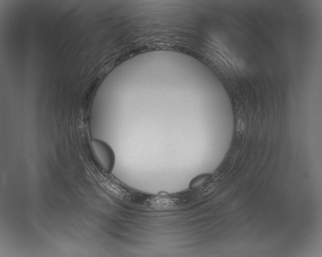 X0000054380518200507290900
