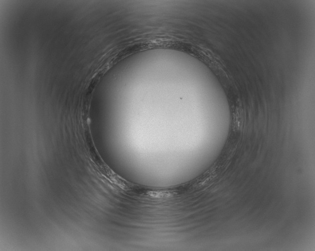 X0000054380520200507290900
