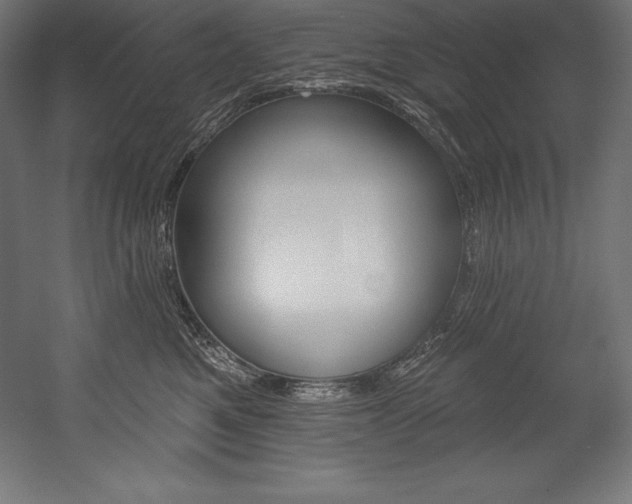 X0000054380521200507290900