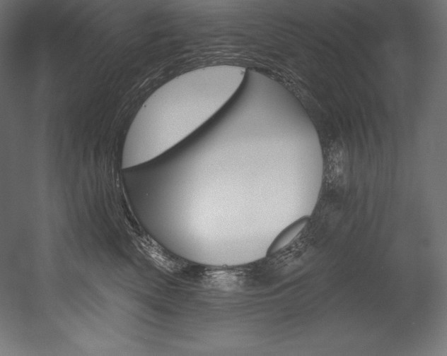 X0000054380522200507290900