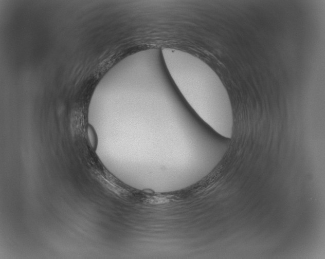 X0000054380523200507290900