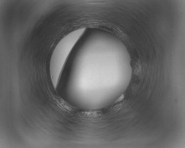 X0000054380524200507290900