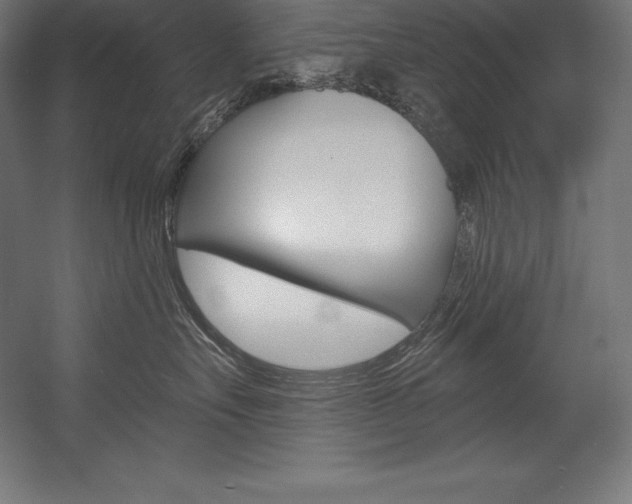 X0000054380527200507290900