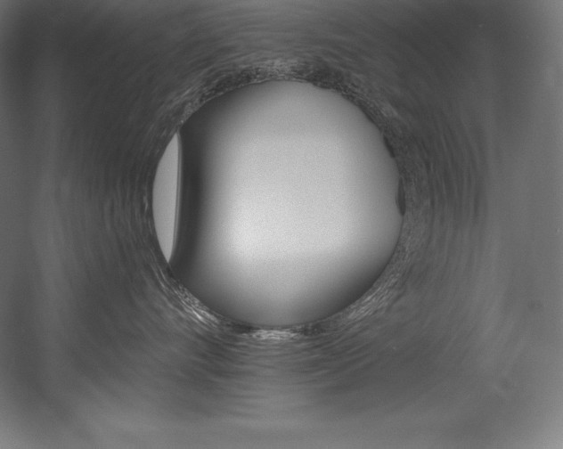 X0000054380528200507290900