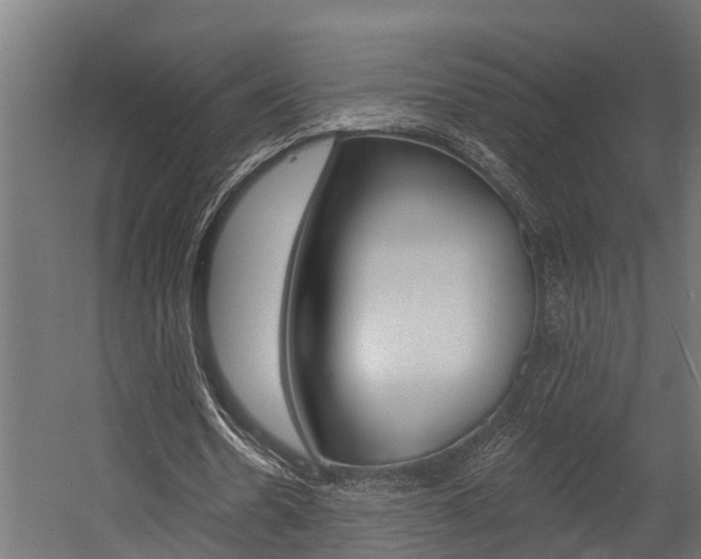 X0000054380530200507290859