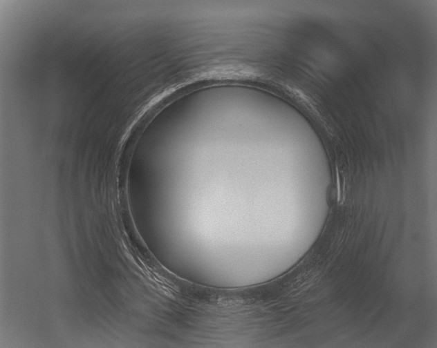 X0000054380531200507290859