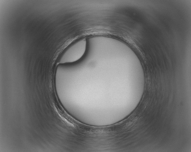 X0000054380533200507290859