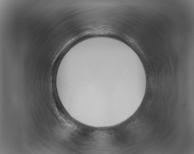 X0000054380534200507290859