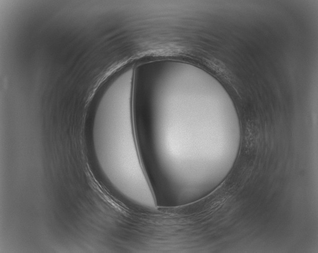X0000054380535200507290859