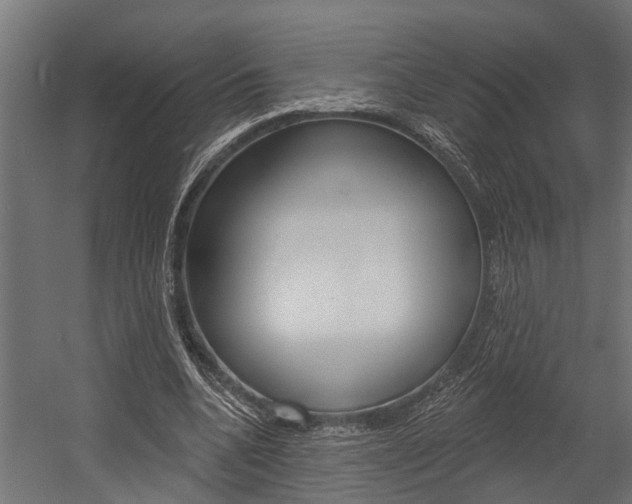X0000054380536200507290859