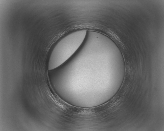 X0000054380537200507290859