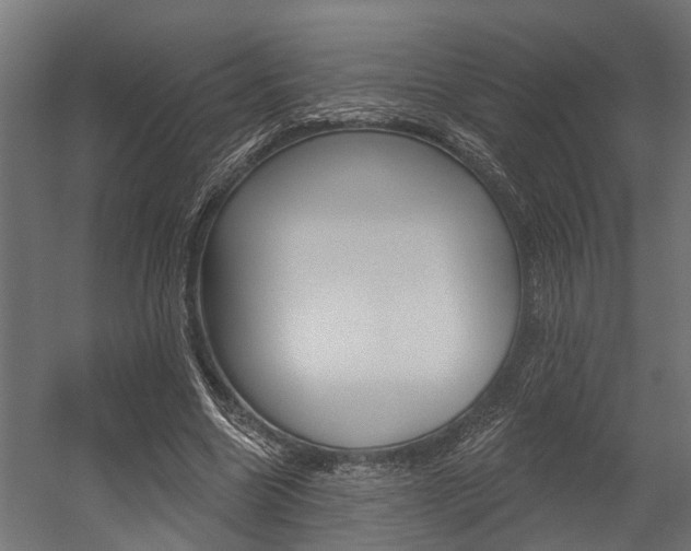 X0000054380538200507290859
