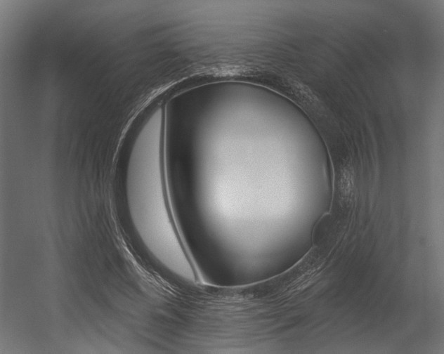 X0000054380540200507290859