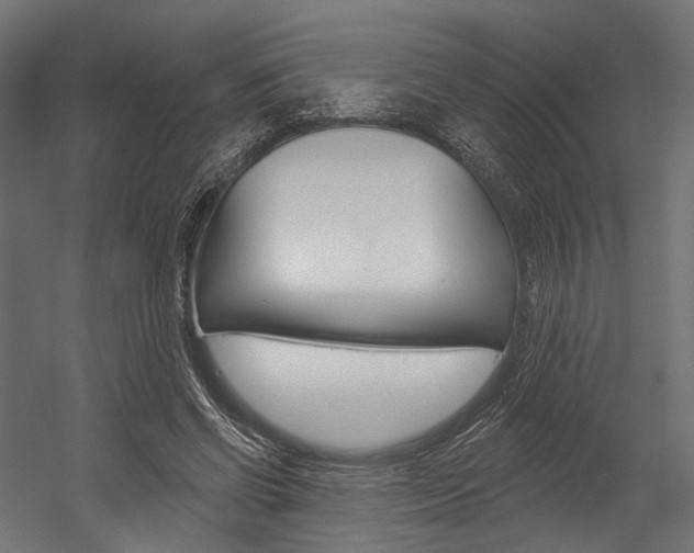 X0000054380542200507290859