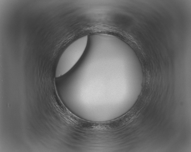 X0000054380545200507290859