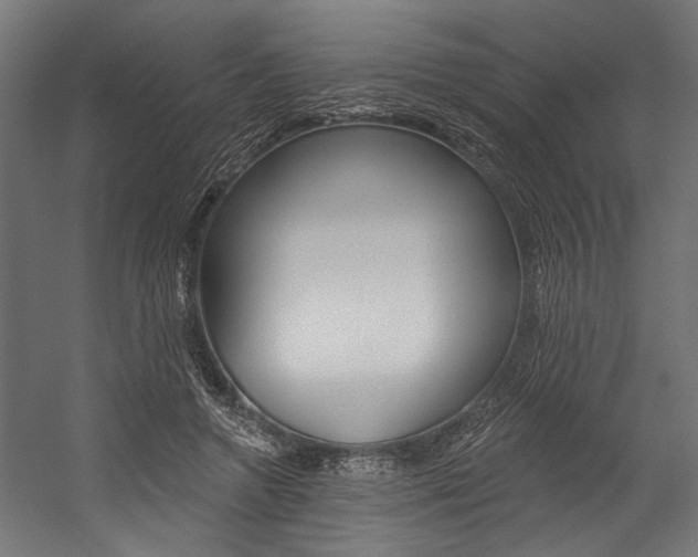 X0000054380546200507290859