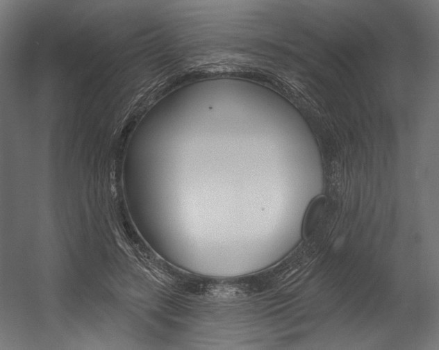 X0000054380547200507290859