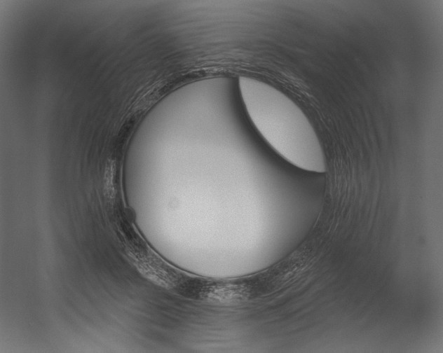X0000054380550200507290859