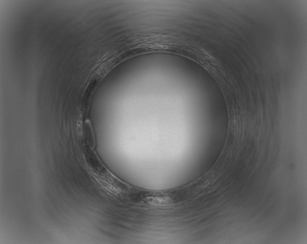 X0000054380552200507290900