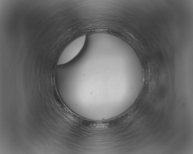 X0000054380553200507290900