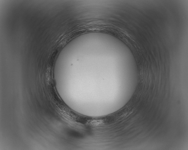 X0000054380554200507290900