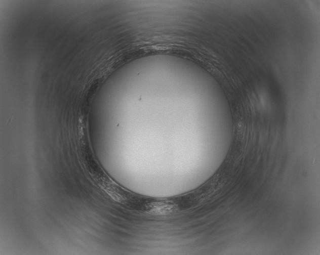 X0000054380555200507290900