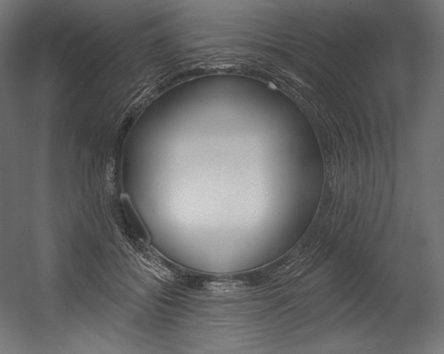 X0000054380556200507290900