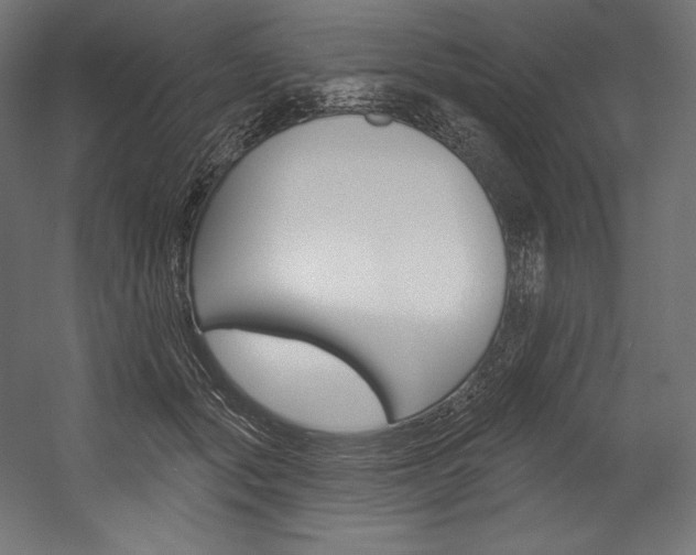 X0000054380557200507290900