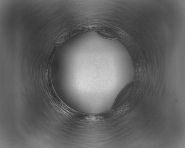 X0000054380558200507290900