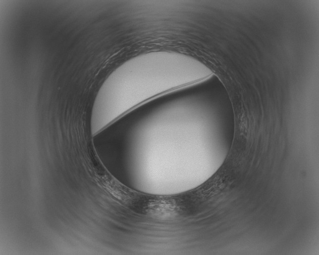 X0000054380559200507290900