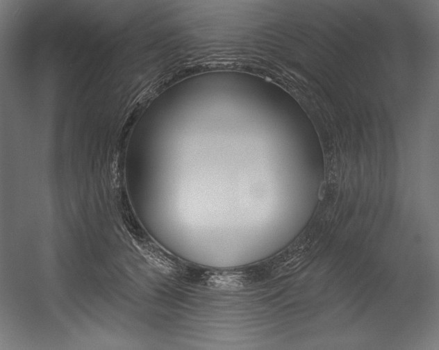 X0000054380560200507290900
