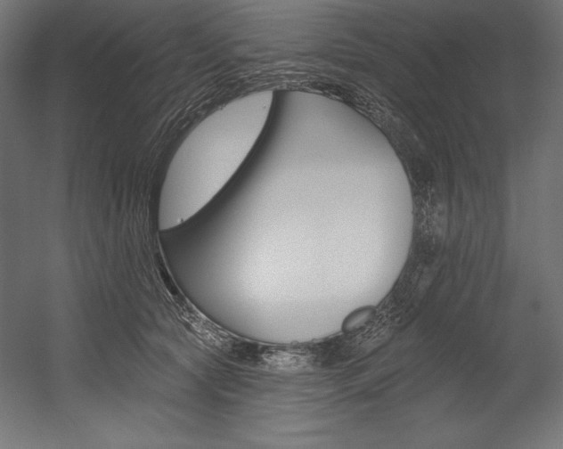 X0000054380561200507290900