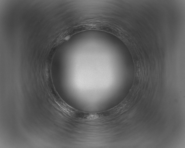 X0000054380562200507290900