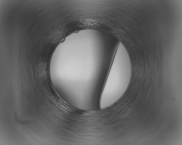 X0000054380563200507290900