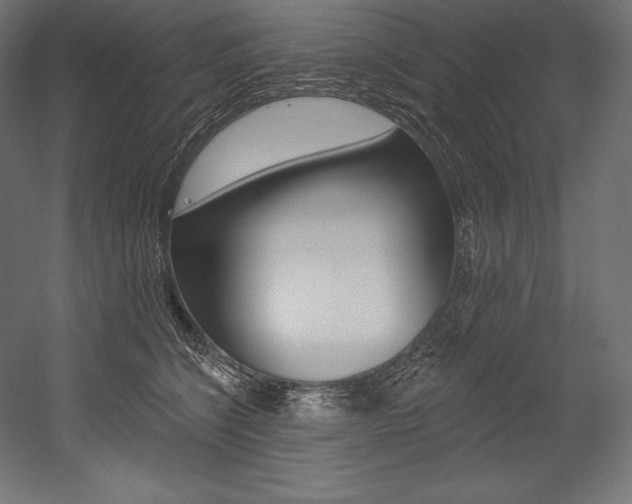 X0000054380564200507290900