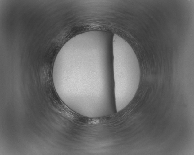 X0000054380565200507290900