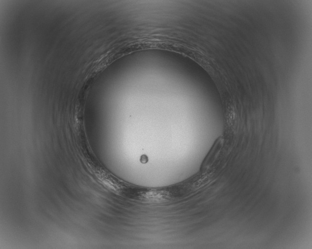 X0000054380566200507290900