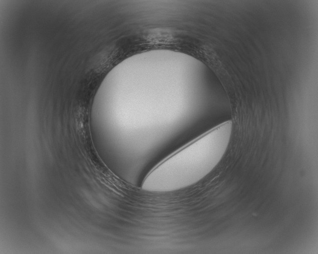 X0000054380567200507290900