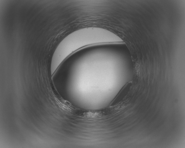 X0000054380570200507290900