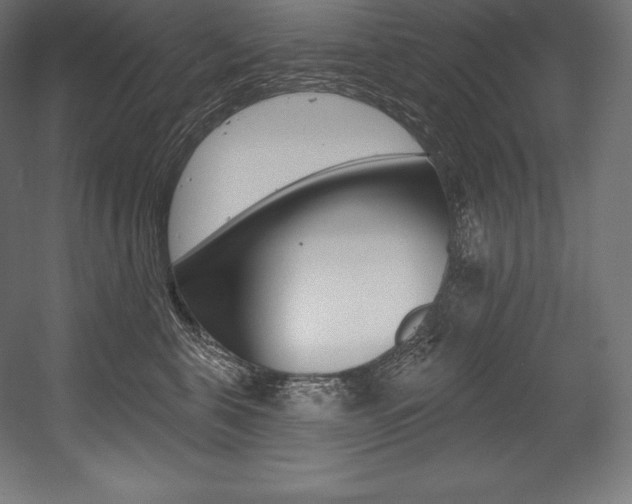X0000054380571200507290900