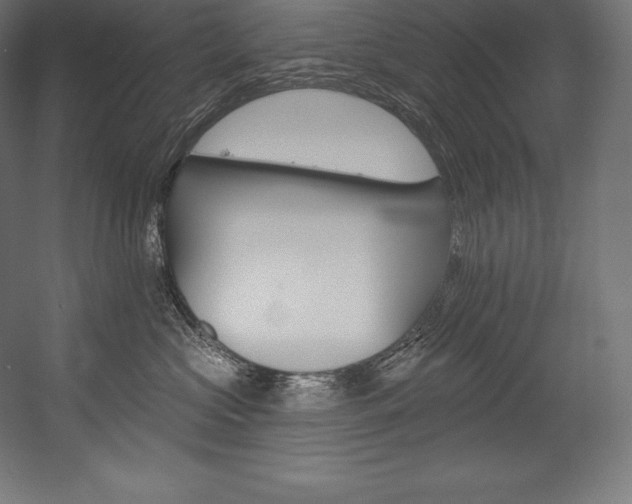 X0000054380573200507290900