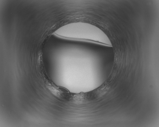 X0000054380574200507290900